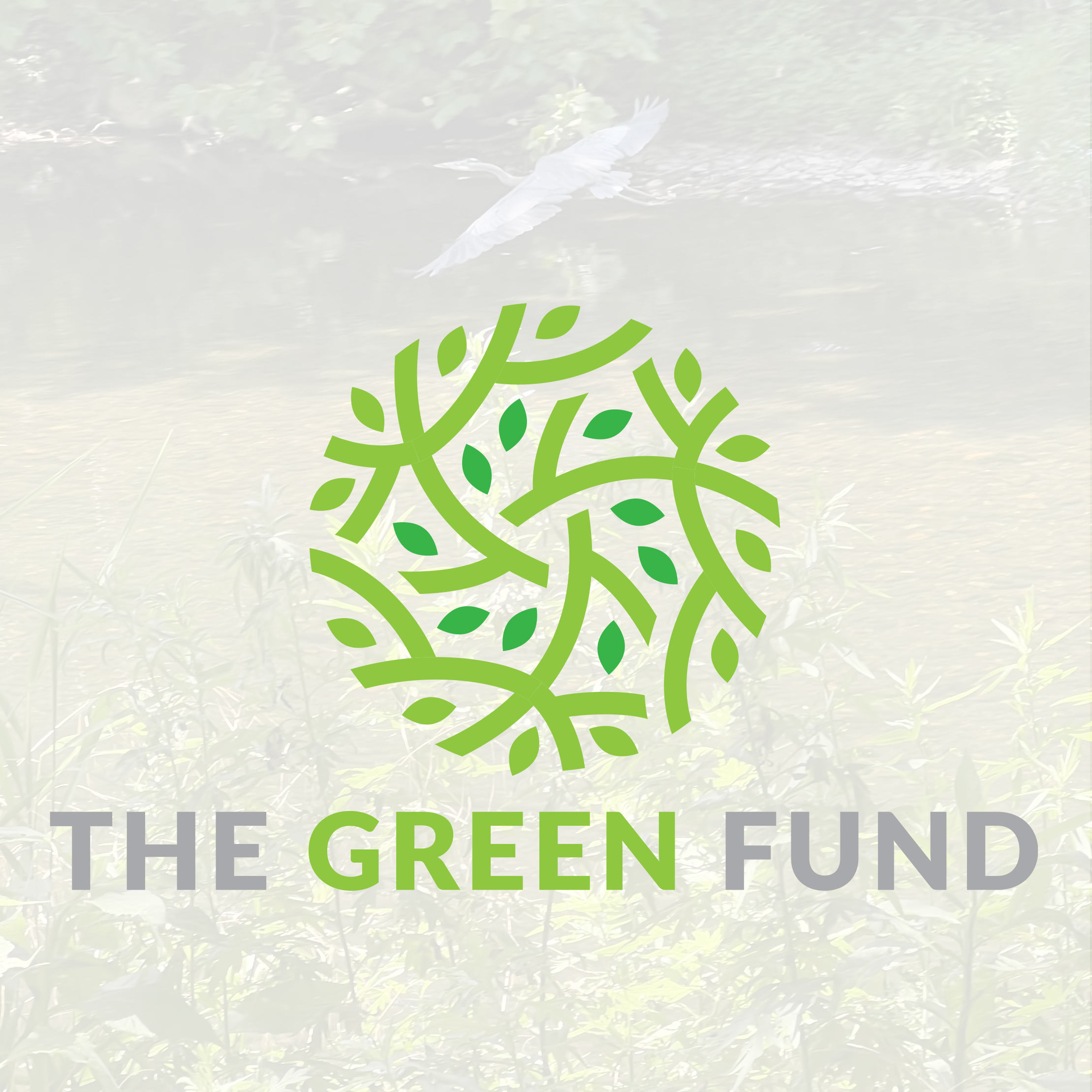 Rosaria Stoops, Executive Director, Freiends of the Allentown Parks